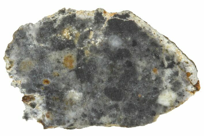 Lunar Meteorite ( g) Slice - Bechar #360541